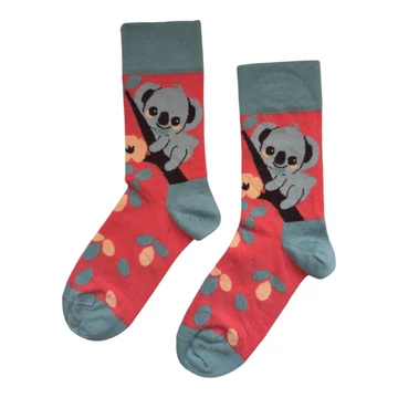 Klasszik zokni- Koala